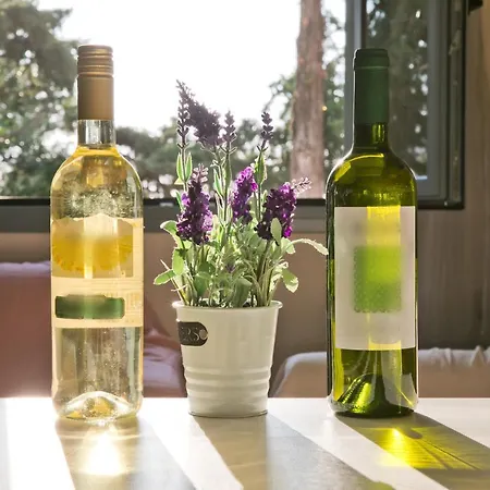 Marialenas House - Stone House At Kalymnos Myrties