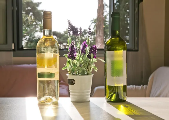 Marialenas House - Stone House At Kalymnos Myrties